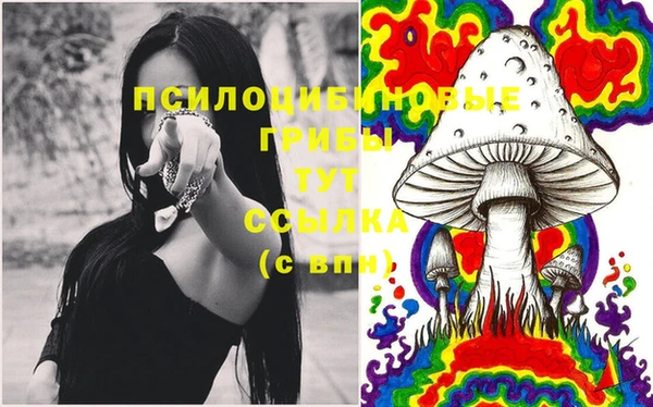дурь Абинск