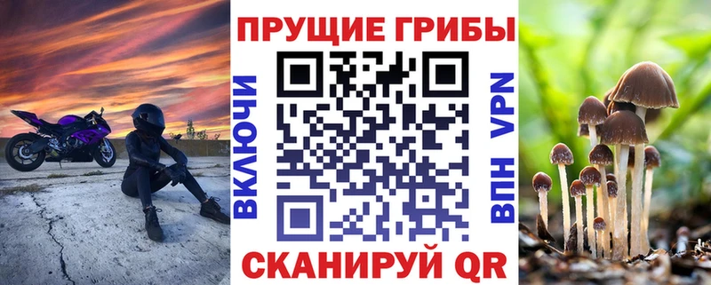 даркнет формула  Ивангород  Псилоцибиновые грибы Psilocybine cubensis 
